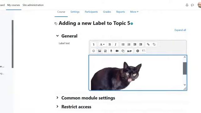 How to Use the Label feature in Moodle 4.0 смотреть онлайн
