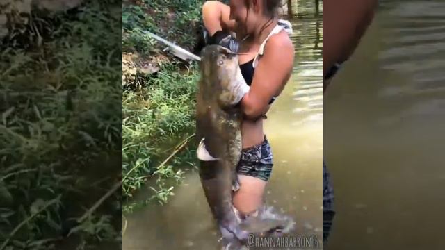 Гигантский сом смотреть онлайн