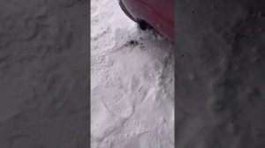 замерз глушитель