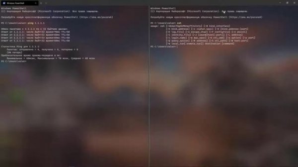 Windows Terminal (preview) - первый запуск, настройка и некоторые горячие клавиши.