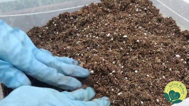 Субстрат для ПЕЛАРГОНИЙ. Проверенный и надежный. смотреть онлайн