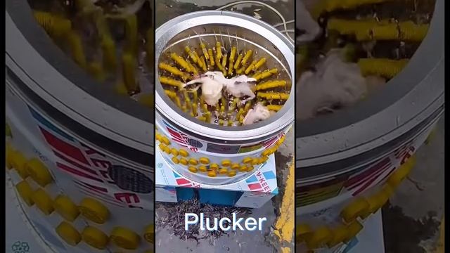 Efficient and Effective: The Cylinder Plucking Machine in Action смотреть онлайн