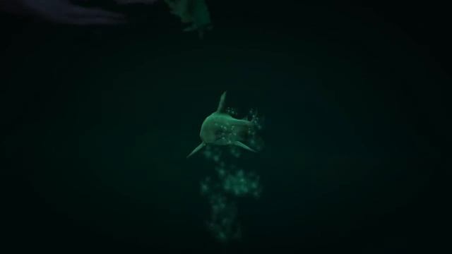 Grand Theft Auto V PS4 Peyote Plant 1 Sea Los Santos International Airport LOS SANTOS смотреть онлайн