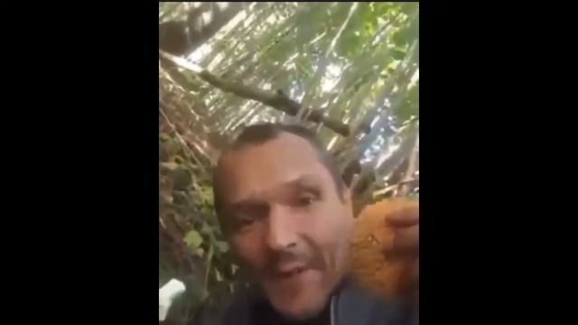 аманита мускариа смотреть онлайн