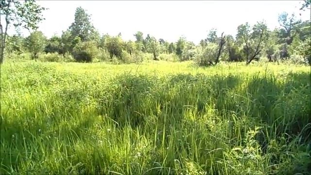 Сенокос. смотреть онлайн