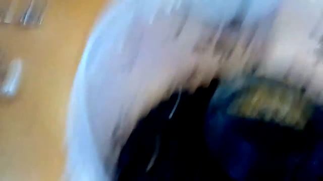 Мой новый Мадагаскарский таракан