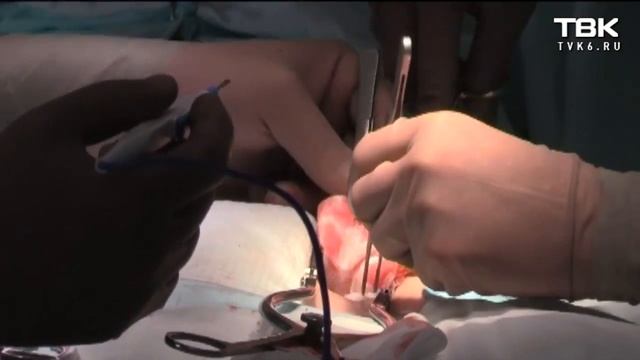 Дорогие мои земляки: Елена Лихошерст