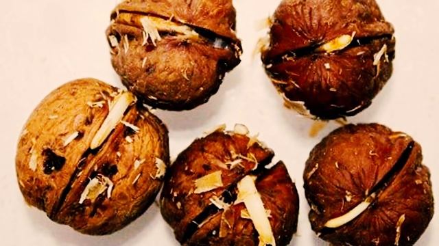 Психология и Развитие