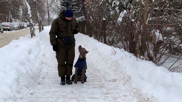 Итоги команды "Рядом!" смотреть онлайн