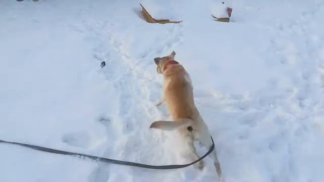 Постояльцы нашей гостиницы смотреть онлайн