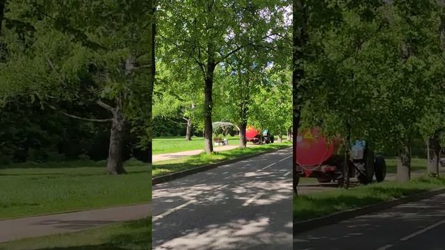 Сокольники. #полив #вода #лето #солнце #Москва #Moscow #Summer #water смотреть онлайн