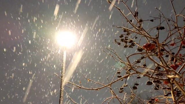 @"Делающий добро"(г... но)! Инструкция по выживанию смотреть онлайн