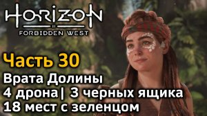 Horizon Forbidden West | Часть 30 | Прохождение | Врата Долины | 4 дрона | 3 черных ящика | Зеленцы