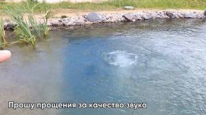 Пруд для рыбы | Строим пруд для рыбы на участке. Часть 3