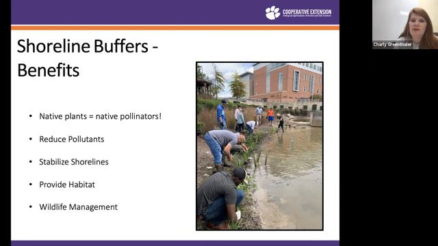 Freshwater Shoreline Restoration смотреть онлайн