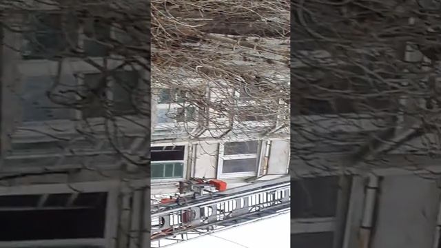 ЧП Красноармейский район, г. Волгоград. смотреть онлайн