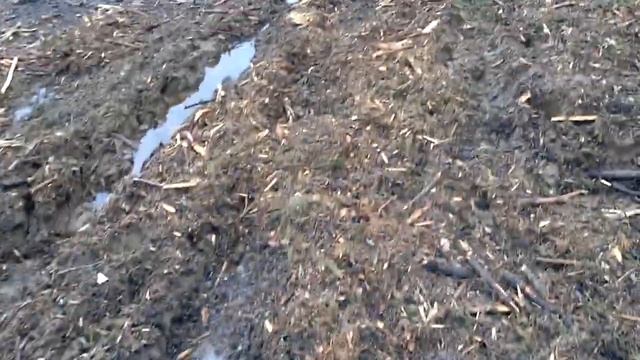Дачное путешествие # 1 смотреть онлайн