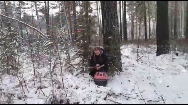 Новогодние поздравления смотреть онлайн
