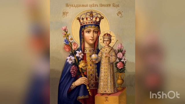 «Неувядаемый цвет» икона Пресвятой Богородицы. Редкая чудотворная очень красивая икона Божией Матер смотреть онлайн