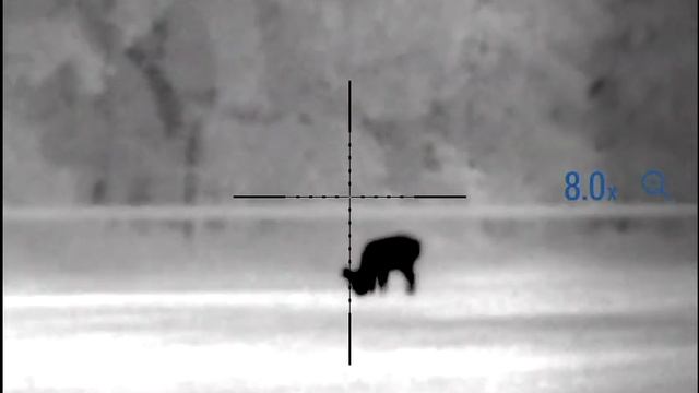 Pulsar Thermion XP50 Thermal Riflescope