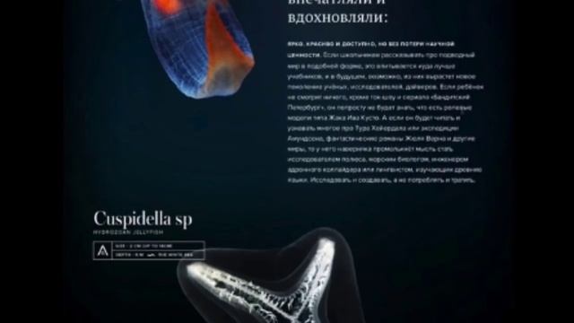 Цифровой сторителлинг | Никита Обухов | Дизайн-форум Prosmotr смотреть онлайн