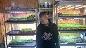 Свет для микрозелени! Как выбрать? Сколько нужно ватт? Бизнес!