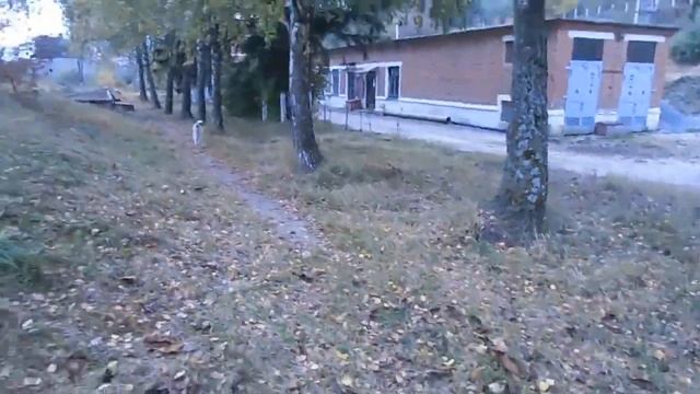 Блок - пост для собаки, верхнее расположение. смотреть онлайн