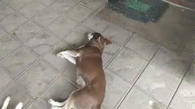 Женечка С Днём Рождения!