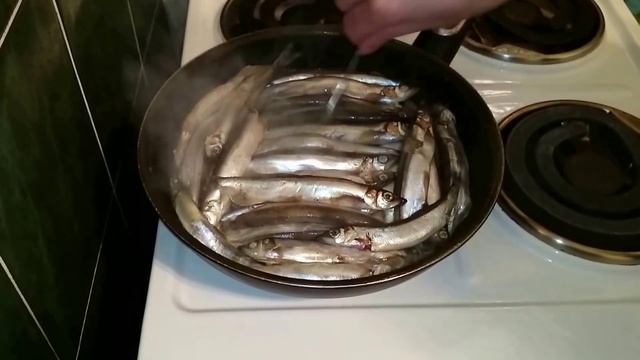 Автомобильные Приключения