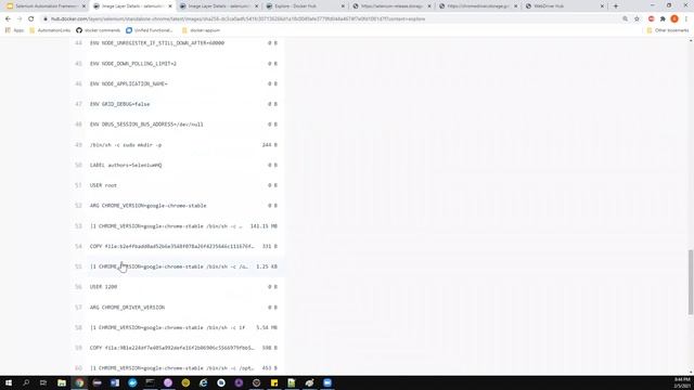 Selenium Framework - Part 50 - Why we don't need any executables when running tests in container? смотреть онлайн
