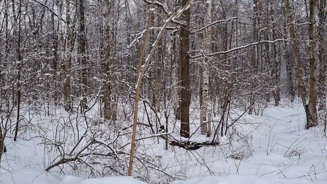 Видео не для всех или как стать Мастером Созерцания и Видения??? смотреть онлайн