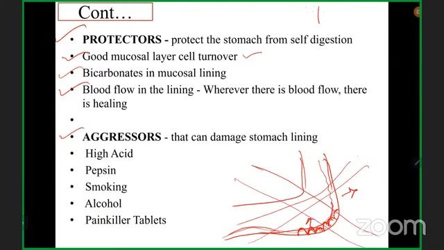 UGC NET JRF Yoga Paper 2 Therapeutic yoga Topic: GIT disorder lecture 1 смотреть онлайн