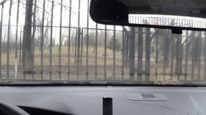 Обычные дворники на Kia Rio III