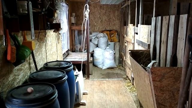 Как восстановить яйценоскость кур? Куры начали нестись после 2-х месячного перерыва. смотреть онлайн