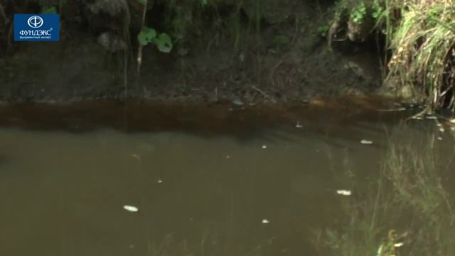 стоимость работ винтовые сваи смотреть онлайн