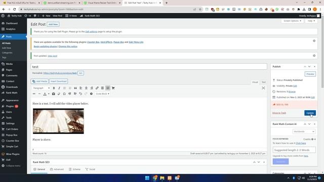 Embed a video player with a live HLS / M3u8 stream in your Wordpress смотреть онлайн