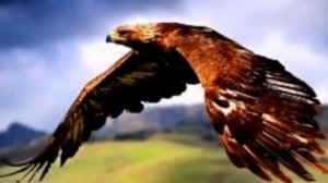 АХ ТЫ,СТЕПЬ ШИРОКАЯ