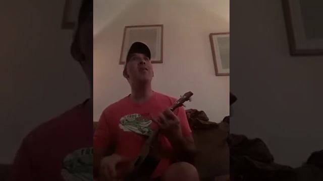 "Cancer" by My Chemical Romance on ukulele смотреть онлайн