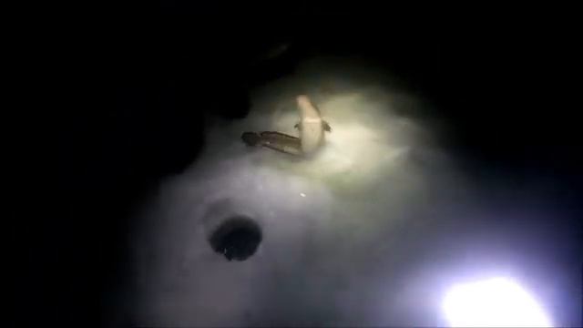 Налим на Флажки. 2022. смотреть онлайн