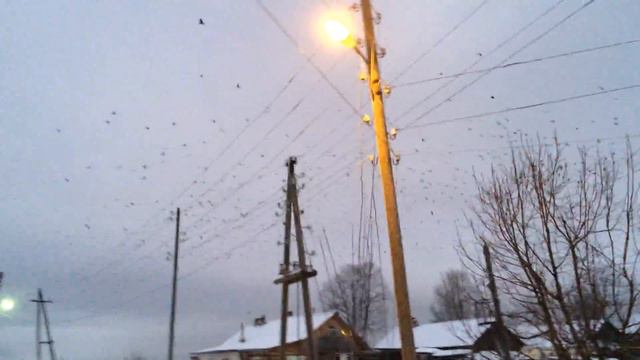воронье над головой кружится смотреть онлайн