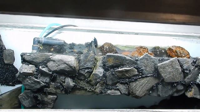 Граф , на огурчик! смотреть онлайн