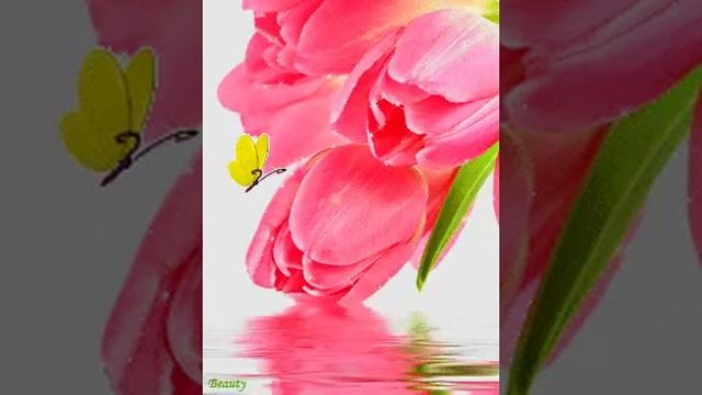 333333333333333333333333333333333333333333333333333333.mp4 смотреть онлайн