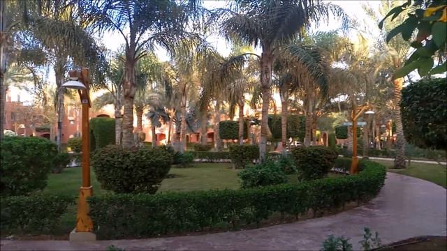 Обзор отеля Tui Magic Life Sharm el Sheikh смотреть онлайн