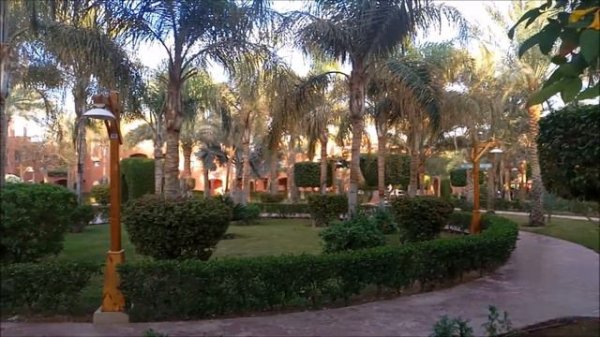Обзор отеля Tui Magic Life Sharm el Sheikh