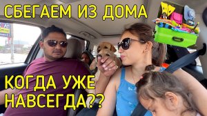После какой правды сбегаем из дома.Куда теперь ехать с 2мя собаками и 2мя детьми? Теперь навсегда?