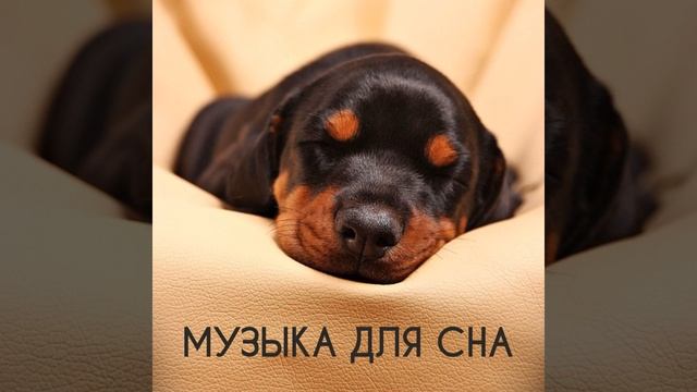 Музыка для Сна смотреть онлайн