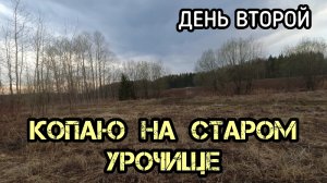Копаю на старом урочище с МД 4030. День второй