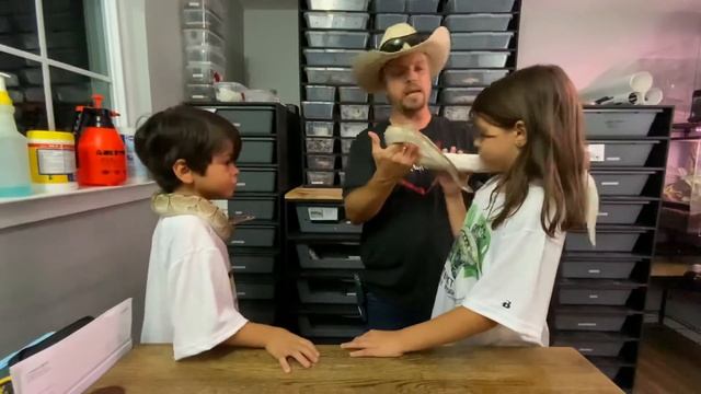 How children should handle a ball python смотреть онлайн
