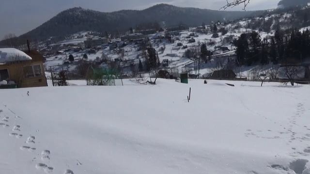 Прогулка нп дачу 10. 03.2019 года . смотреть онлайн