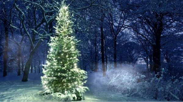 HARU - Снежинка